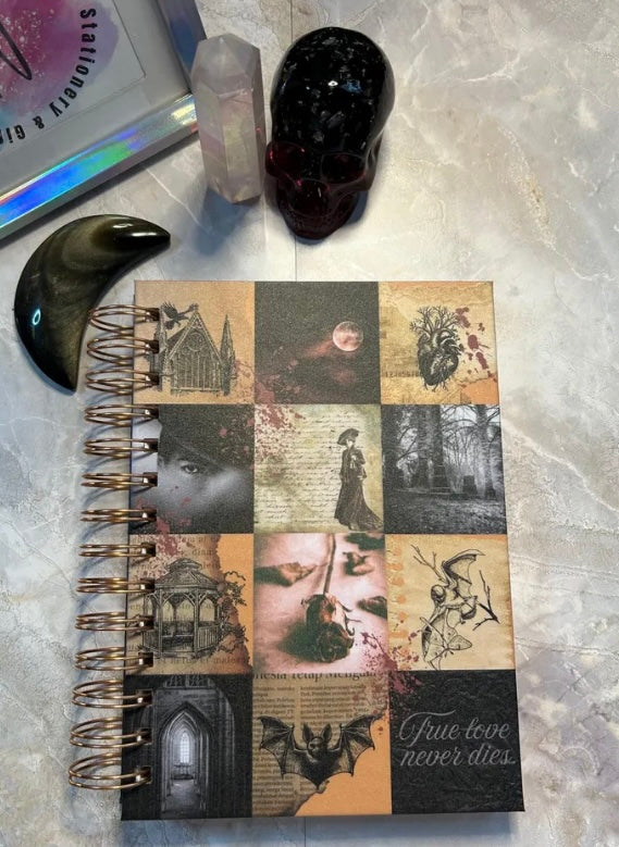 Vampire Aesthetic Journal